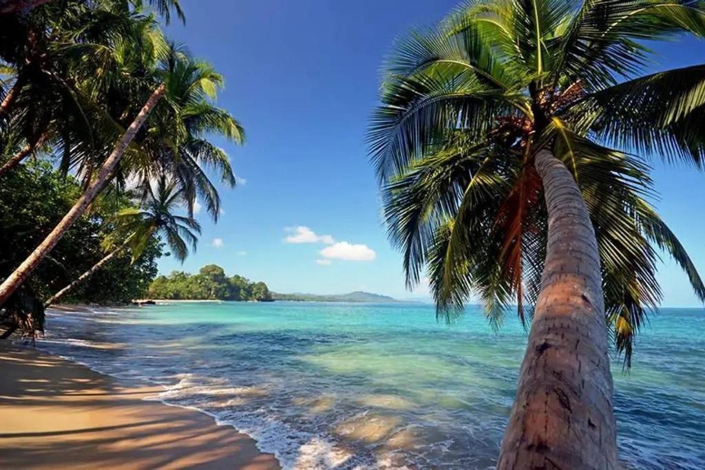 Roca Mar Rocawelch Puerto Viejo Aparthotel Puerto Viejo de Talamanca Екстериор снимка